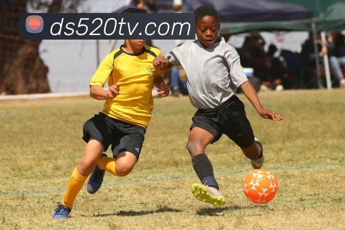 袋鼠直播官网平台生态图