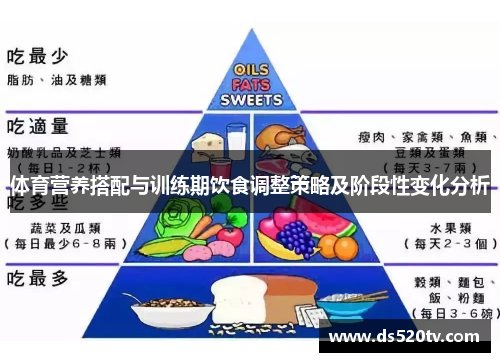 体育营养搭配与训练期饮食调整策略及阶段性变化分析